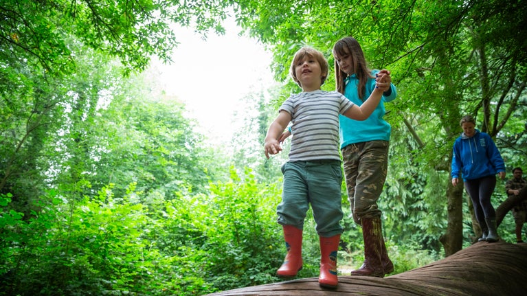 Children walking on fallen tree at Fyne Court